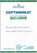Сертификат участника экологического конкурса ЭКО-DRIVE Сертификат участника экологического конкурса ЭКО-DRIVE